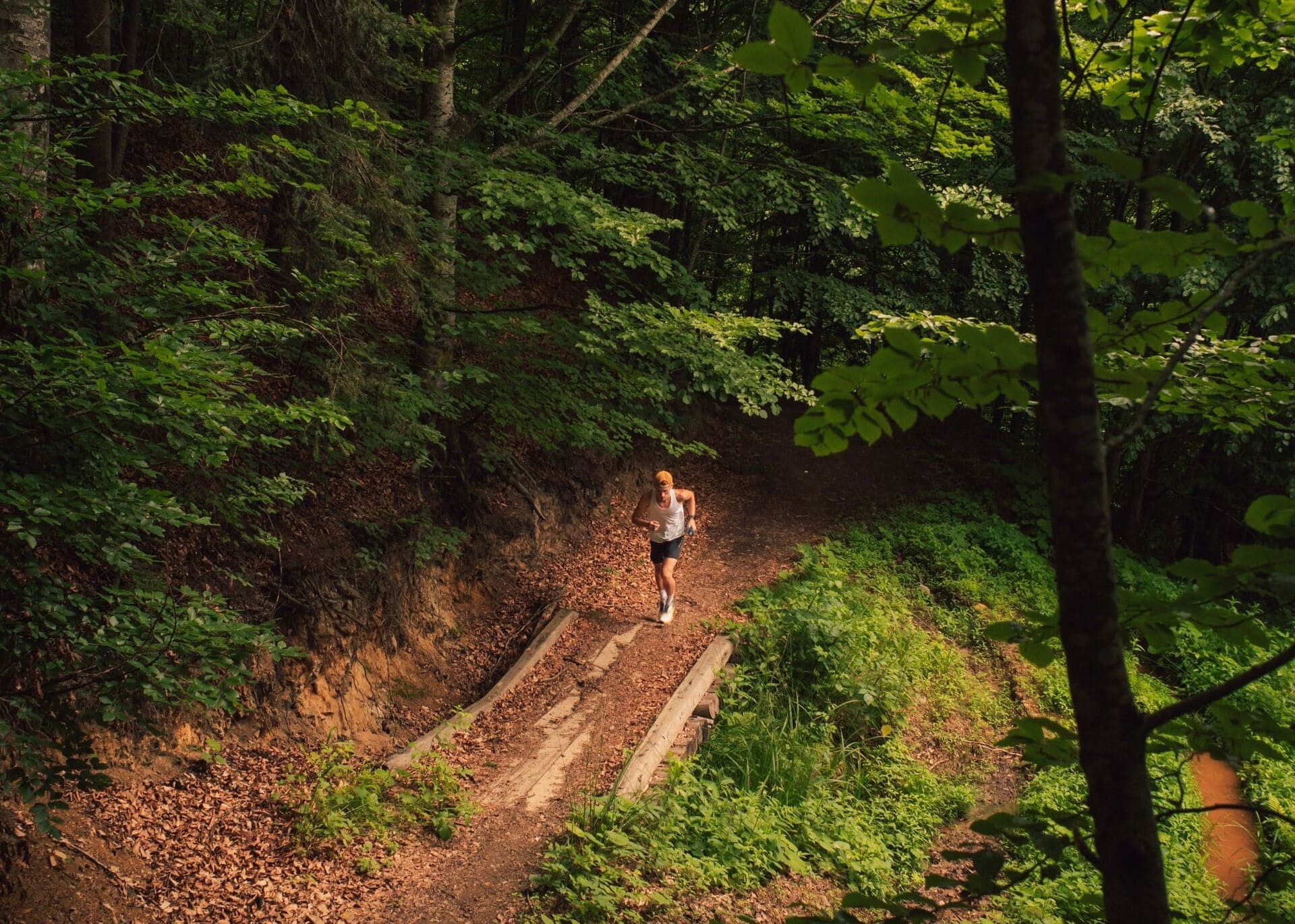 Trailrunner auf einem Waldweg